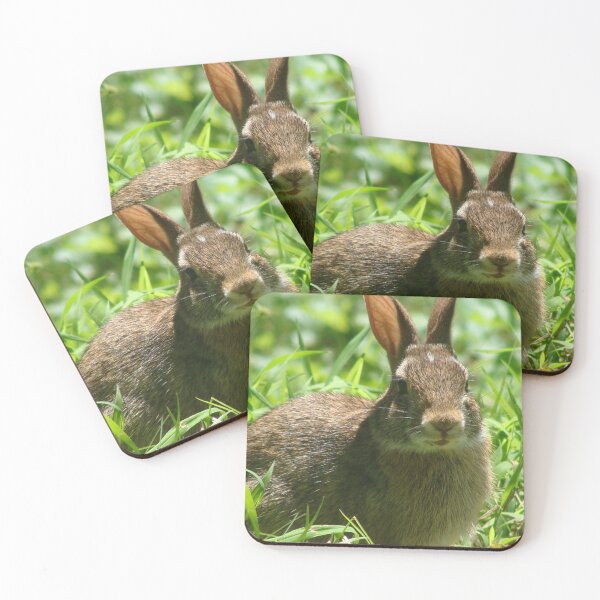 Item preview, Cute Little Wild Bunny designed and sold by SaradaBoru.