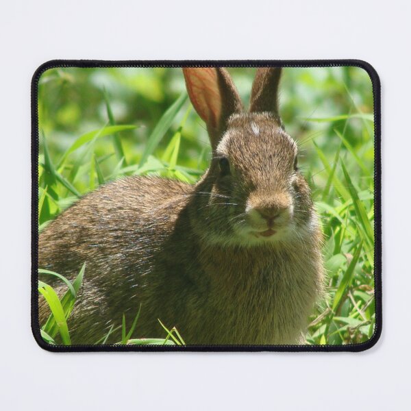 Item preview, Cute Little Wild Bunny designed and sold by SaradaBoru.