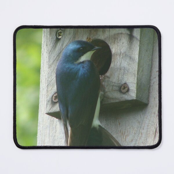 Item preview, Shiny Blue Swallow Bird designed and sold by SaradaBoru.