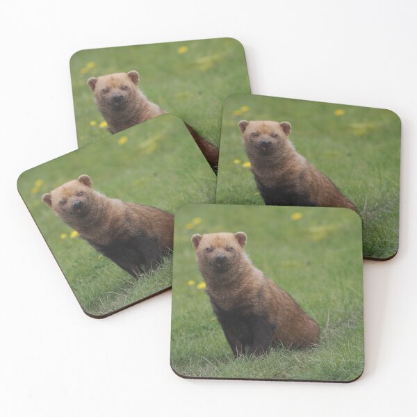 Item preview, Bushdog designed and sold by Madcreat.