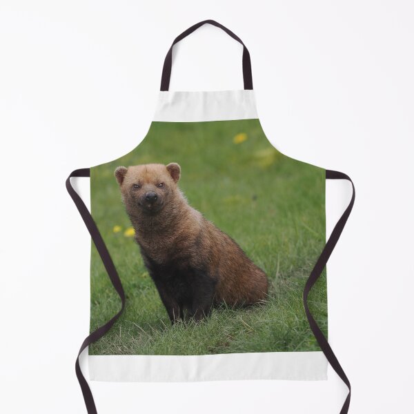 Item preview, Bushdog designed and sold by Madcreat.