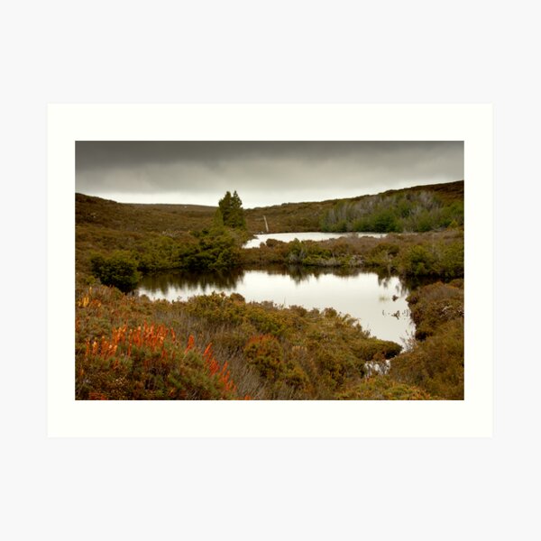 Waterfall Valley to Windermere, Overland Track, Tasmania Art Print