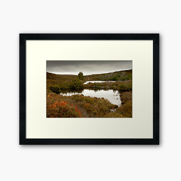 Waterfall Valley to Windermere, Overland Track, Tasmania Framed Art Print