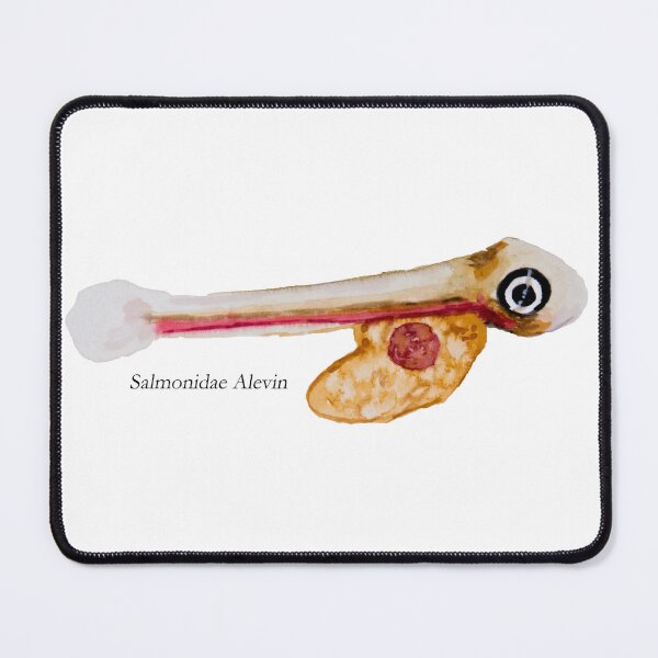 Item preview, Salmonidae Alevin Painting designed and sold by Stephen Emms.
