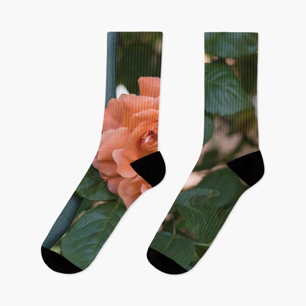 Item preview, Escape Artist - Blooming Peach-colored Rose Outside a Garden Fence designed and sold by Georgia Mizuleva.