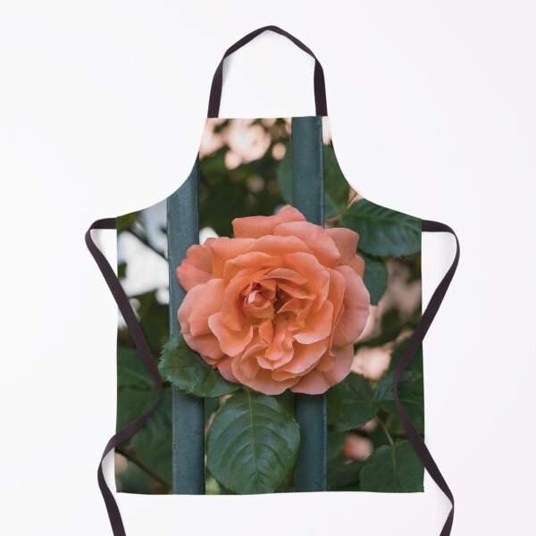 Item preview, Escape Artist - Blooming Peach-colored Rose Outside a Garden Fence designed and sold by Georgia Mizuleva.