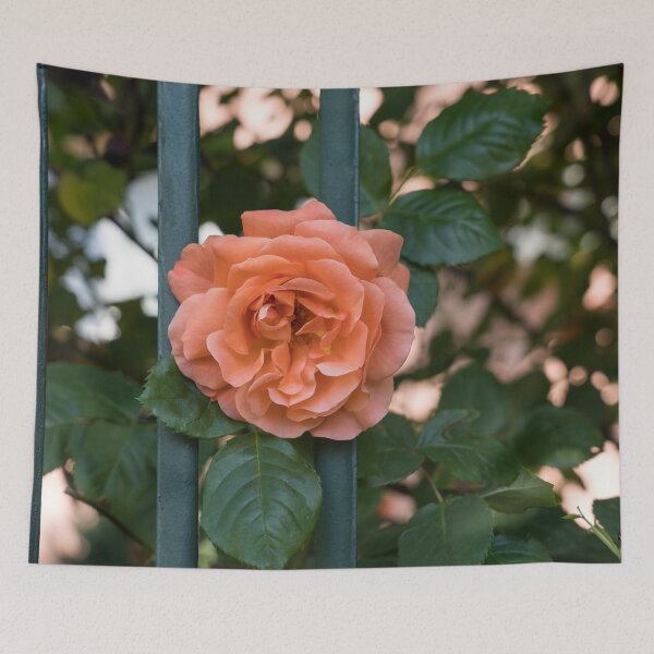 Item preview, Escape Artist - Blooming Peach-colored Rose Outside a Garden Fence designed and sold by Georgia Mizuleva.