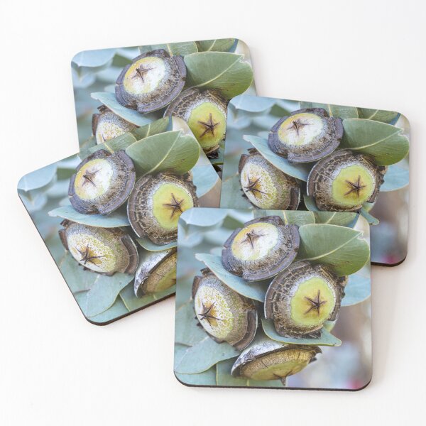Item preview, Nuts for Mottlecah designed and sold by SallyB.Photography.
