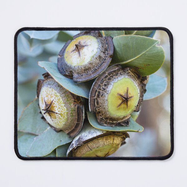 Item preview, Nuts for Mottlecah designed and sold by SallyB.Photography.