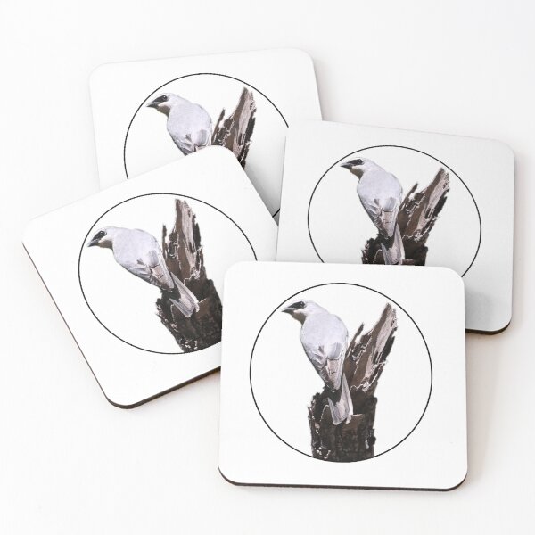 Item preview, White-bellied Cuckoo-shrike designed and sold by Genevieve Hanlon Art and Photography.