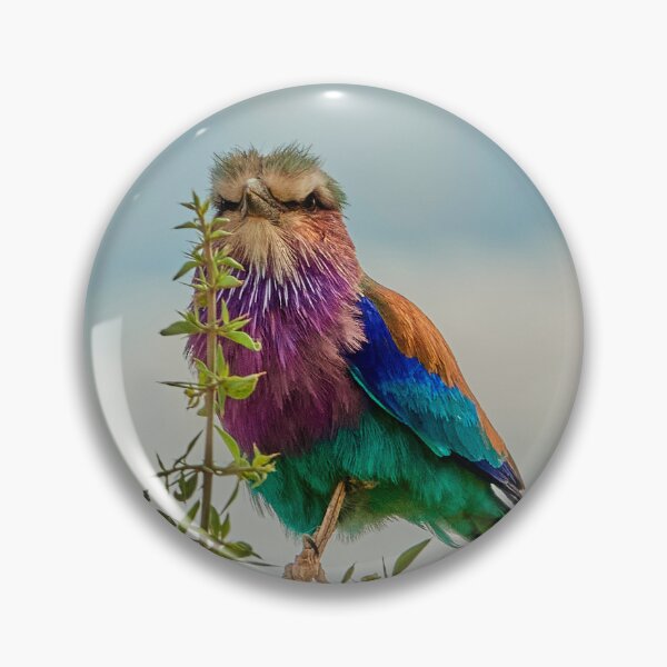 Item preview, Lilac Breasted Roller designed and sold by Eidetic Photos.