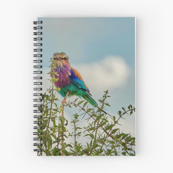 Item preview, Lilac Breasted Roller designed and sold by Eidetic Photos.