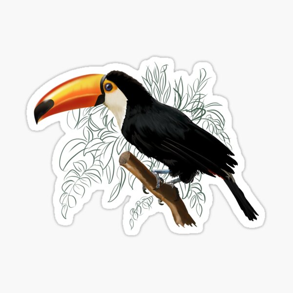Stickers Jungle: Toucan