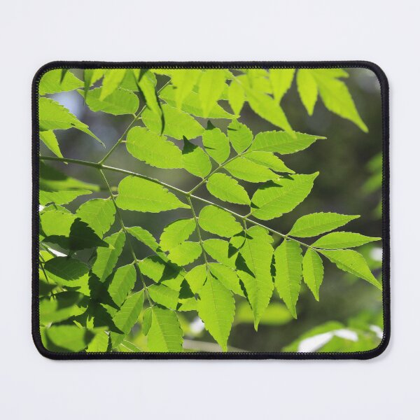 Item preview, Green leaves designed and sold by thupho.
