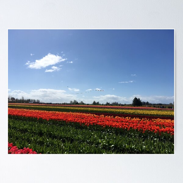 Item preview, A Windy Day in Skagit Valley designed and sold by SavingMemories.