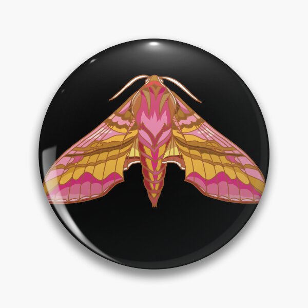 Item preview, Small elephant hawk-moth designed and sold by kataszep.