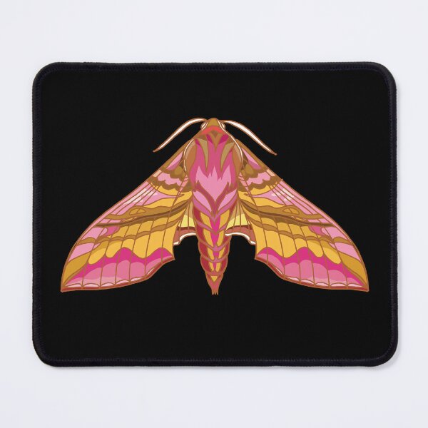 Item preview, Small elephant hawk-moth designed and sold by kataszep.