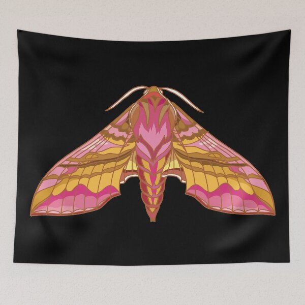 Item preview, Small elephant hawk-moth designed and sold by kataszep.