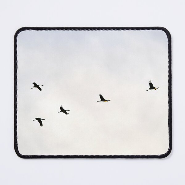 Item preview, First ones coming. Eurasian crane designed and sold by Jouko Lehto Photography.