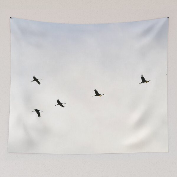 Item preview, First ones coming. Eurasian crane designed and sold by Jouko Lehto Photography.