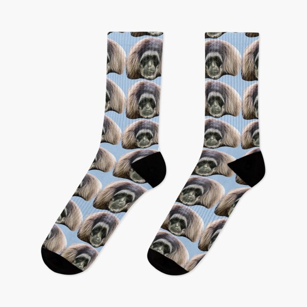 Item preview, Sad face of a Moloch Gibbon designed and sold by Dalyndigital Photography.