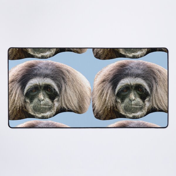 Item preview, Sad face of a Moloch Gibbon designed and sold by Dalyndigital Photography.