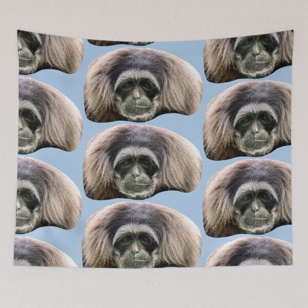 Item preview, Sad face of a Moloch Gibbon designed and sold by Dalyndigital Photography.