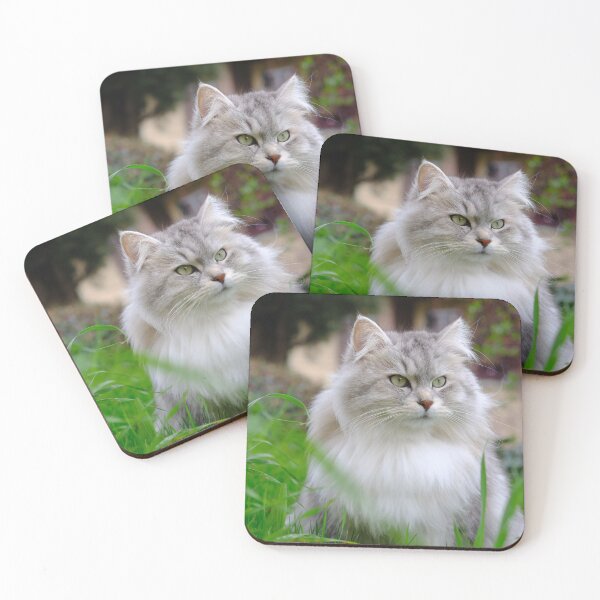 Item preview, Merlin The Siberian Cat designed and sold by Massimo Morselli.