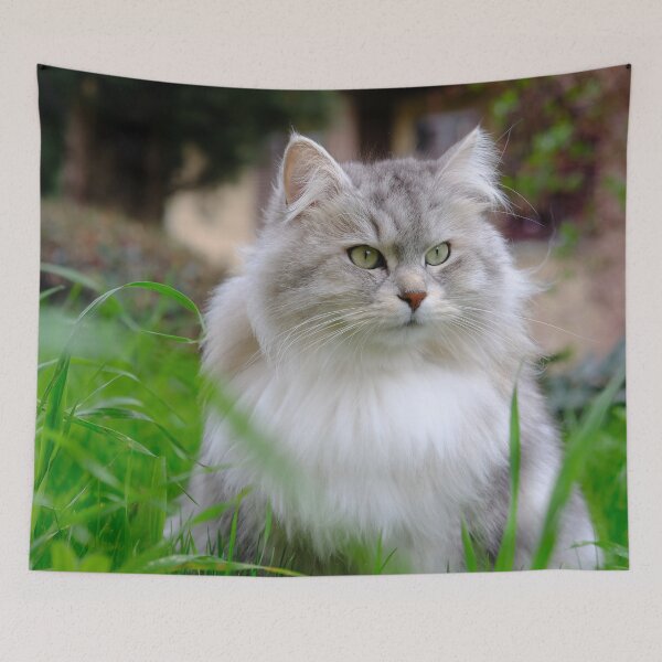 Item preview, Merlin The Siberian Cat designed and sold by Massimo Morselli.