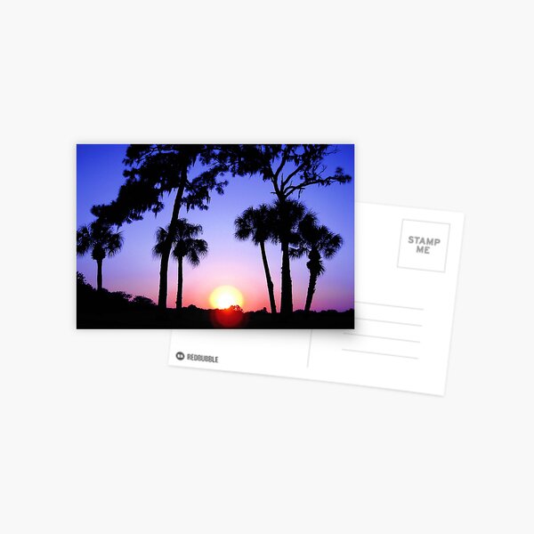 Sunset Vivid Postcard
