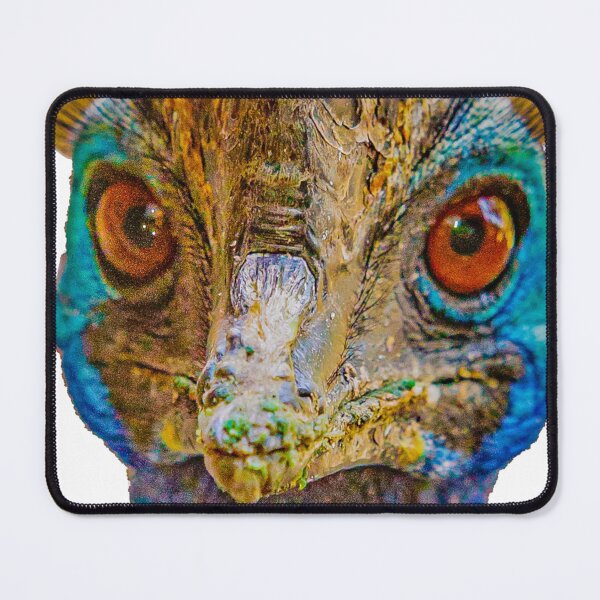 Item preview, Cassowary Portrait designed and sold by Dalyndigital Photography.