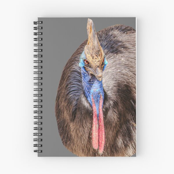 Item preview,  Cuddly Cassowary  designed and sold by Dalyndigital Photography.