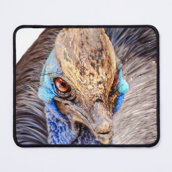 Item preview, Cuddly Cassowary designed and sold by Dalyndigital Photography.