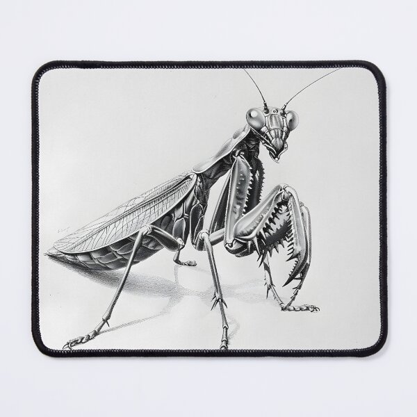 Item preview, Black and white Matins pencil drawing designed and sold by Pencil-Art.