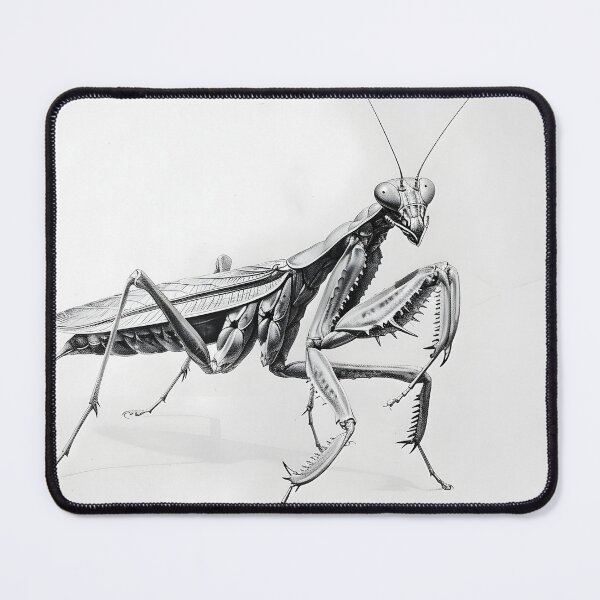 Item preview, Black and white Matins pencil drawing designed and sold by Pencil-Art.