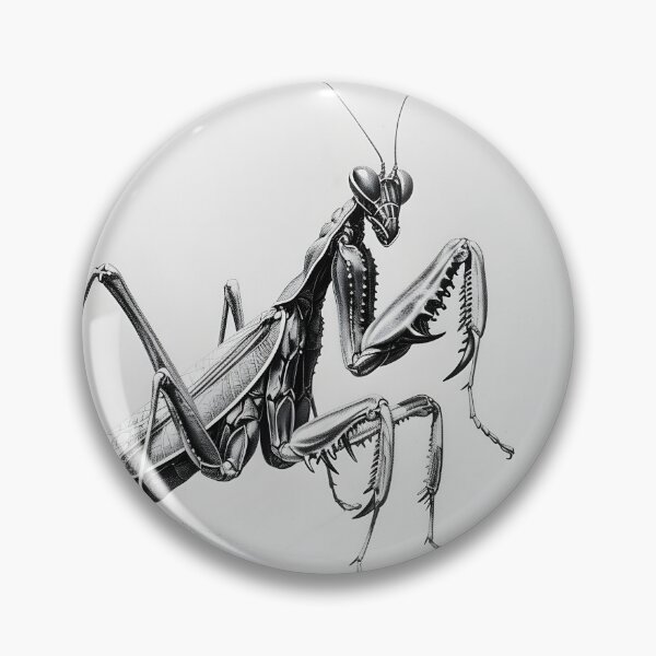 Artikelvorschau, Schwarz-weiße Bleistiftzeichnung einer Matins entworfen und verkauft von Pencil-Art.