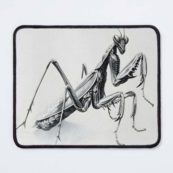 Item preview, Black and white Matins pencil drawing designed and sold by Pencil-Art.