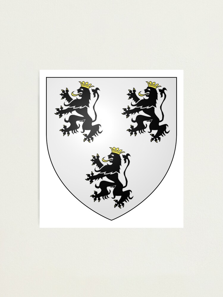 Alternate view of French France Coat of Arms 0888 Blason Charles de Hallwin v v Photographic Print