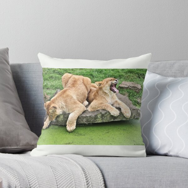 Item preview, Lion Cubs designed and sold by RickVink.