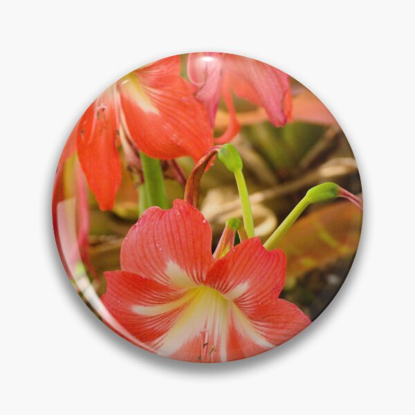 Item preview, Striped Barbados Lily designed and sold by MercerImages.