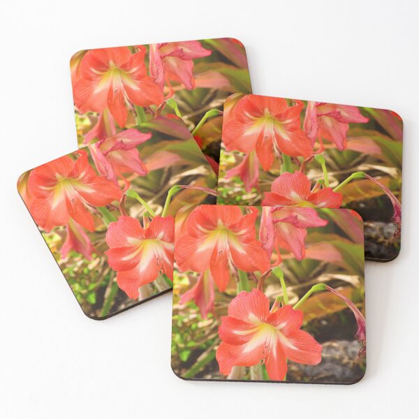 Item preview, Striped Barbados Lily designed and sold by MercerImages.