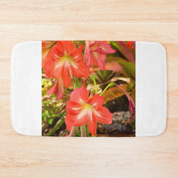 Item preview, Striped Barbados Lily designed and sold by MercerImages.