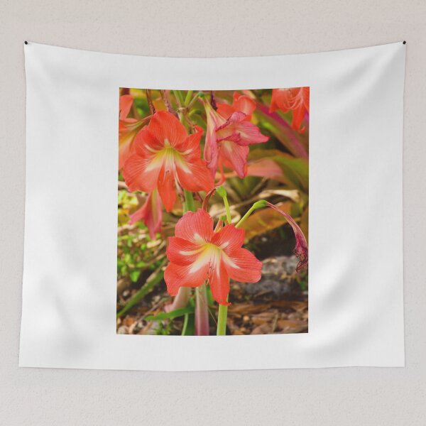 Item preview, Striped Barbados Lily designed and sold by MercerImages.