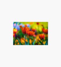 Flower macro Art Board