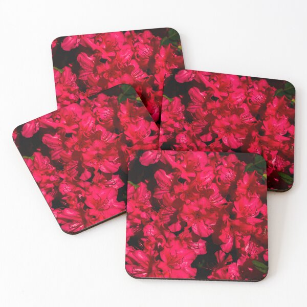Item preview, Vibrant Bright Red Azaleas Spring Garden Photography designed and sold by CaytlinEPhotos.