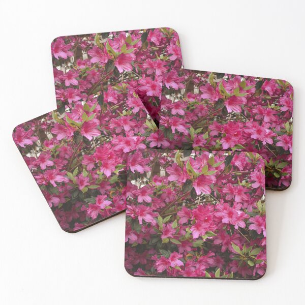 Item preview, Pink Azaleas Spring Garden Photography designed and sold by CaytlinEPhotos.