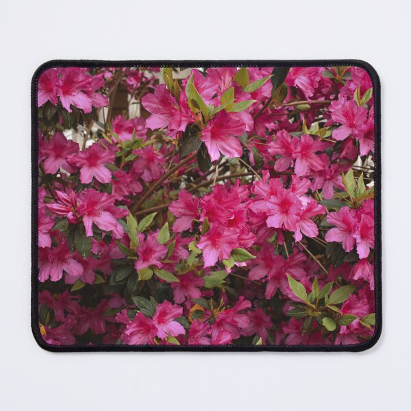 Item preview, Pink Azaleas Spring Garden Photography designed and sold by CaytlinEPhotos.