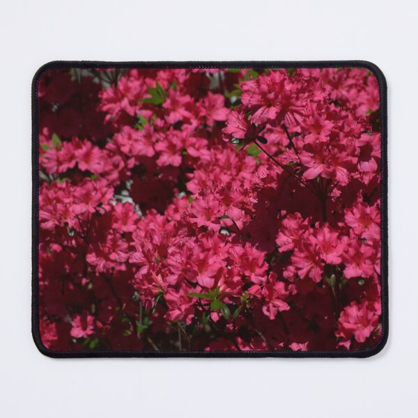 Item preview, Red Azaleas Spring Garden Photography designed and sold by CaytlinEPhotos.