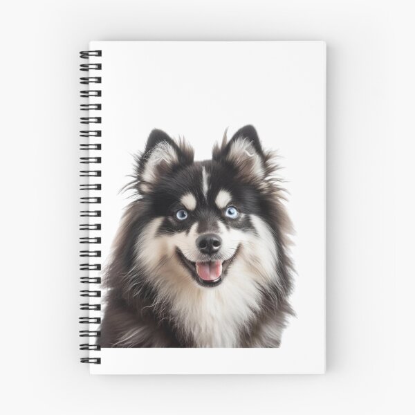 Item preview, Cute blue-eyed Pomsky/Mini Husky Puppy digital art drawing for printables designed and sold by BHC-P.