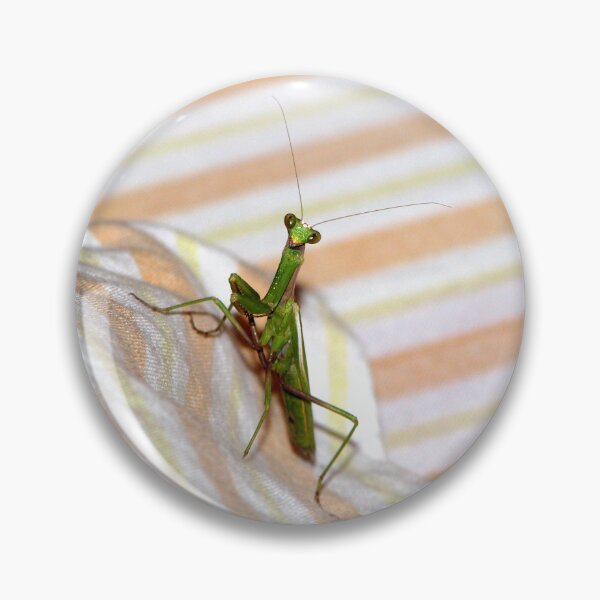 Artikelvorschau, Praying Mantis entworfen und verkauft von Vittorio Magaletti.